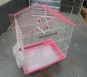 Pet cage with plastic floor.