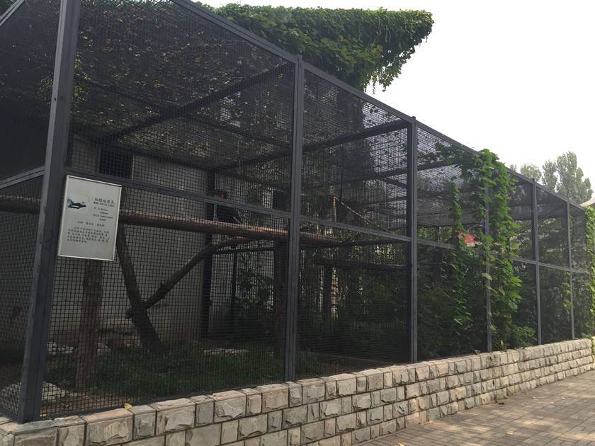 Welded mesh with metal frame as birds house and green plants are on the mesh.