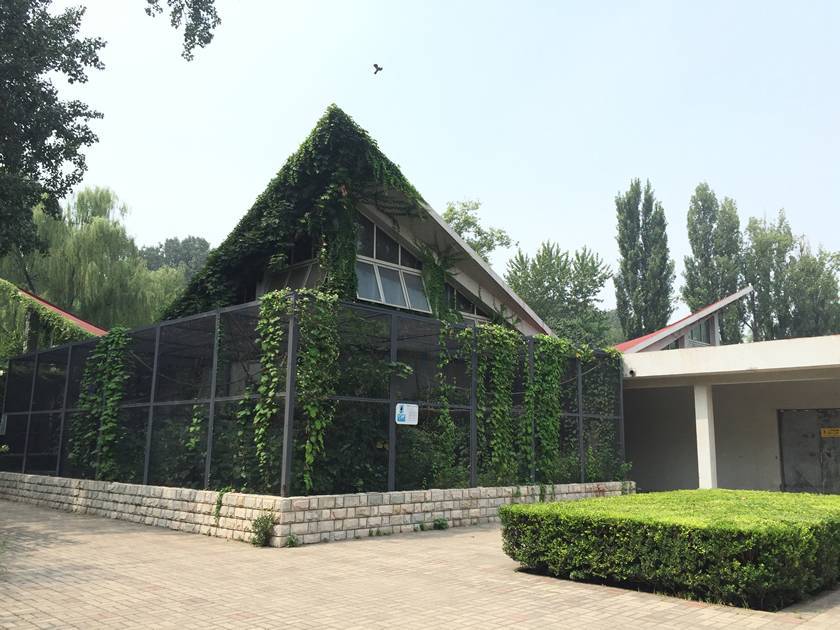 Welded mesh with metal frame as small birds cage and green plants are inside and outside the cage.