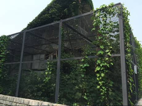 Black welded wire mesh panels for large birds cage in the zoo.