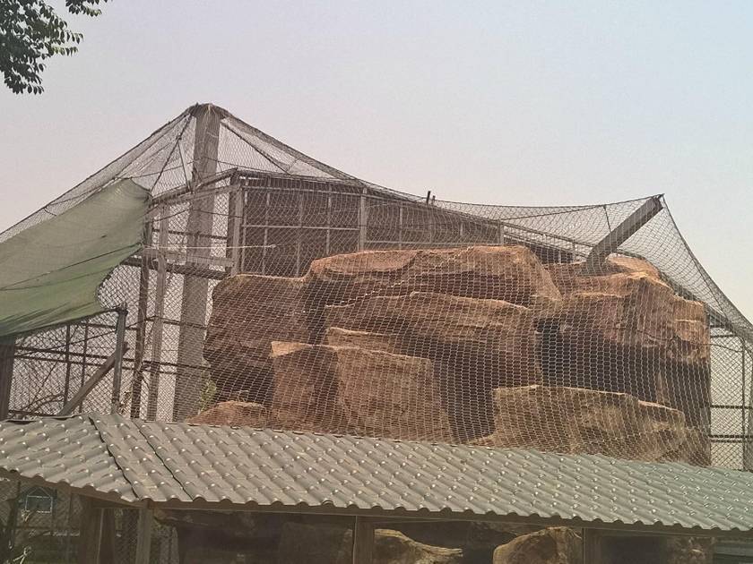 Stainless steel rope mesh is installed on the roof of the zoo and several stone in it.