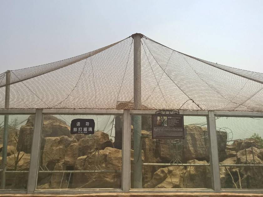 Stainless steel rope mesh is covering the roof of the glass house, with several artificial hill in it.